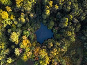 Preview wallpaper lake, trees, aerial view, forest, water, autumn