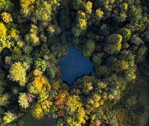 Preview wallpaper lake, trees, aerial view, forest, water, autumn