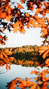 Preview wallpaper lake, trees, autumn, shore, landscape