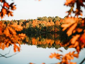 Preview wallpaper lake, trees, autumn, shore, landscape