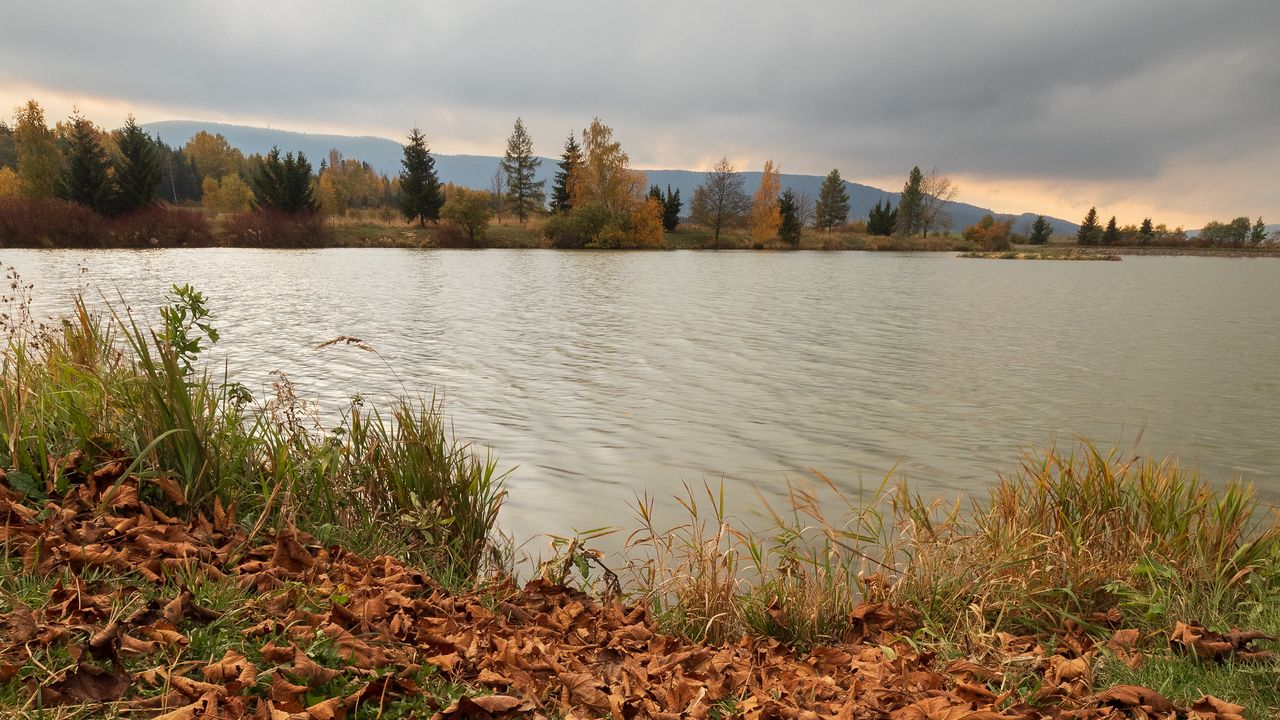 Wallpaper lake, trees, autumn, leaves