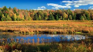 Preview wallpaper lake, trees, autumn, sky