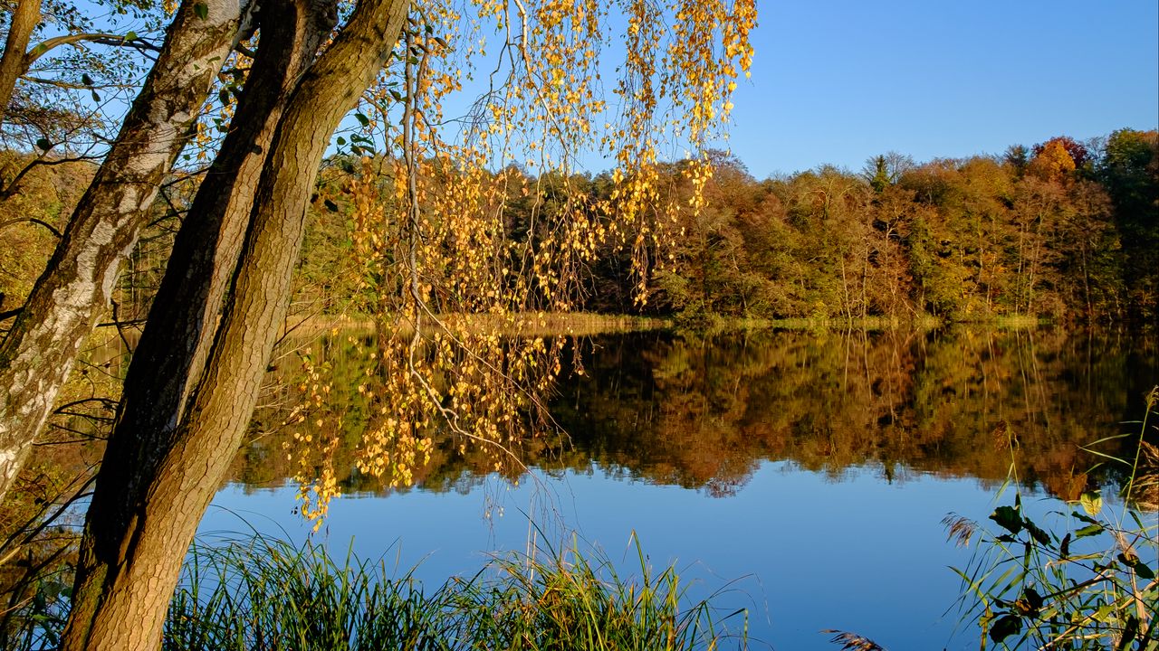 Wallpaper lake, trees, autumn, landscape, reflection