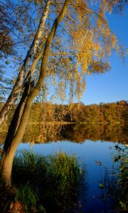 Preview wallpaper lake, trees, autumn, landscape, reflection