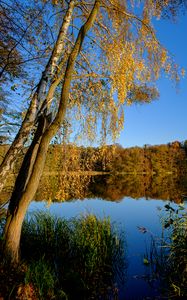 Preview wallpaper lake, trees, autumn, landscape, reflection