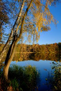Preview wallpaper lake, trees, autumn, landscape, reflection