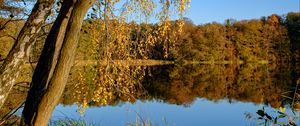 Preview wallpaper lake, trees, autumn, landscape, reflection