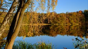 Preview wallpaper lake, trees, autumn, landscape, reflection