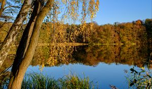 Preview wallpaper lake, trees, autumn, landscape, reflection