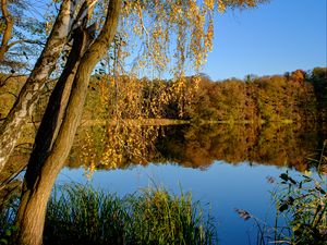 Preview wallpaper lake, trees, autumn, landscape, reflection