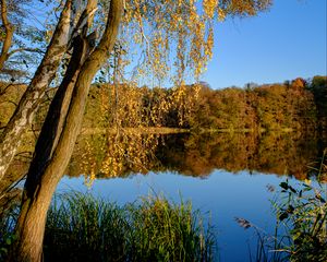 Preview wallpaper lake, trees, autumn, landscape, reflection