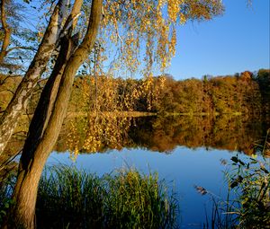 Preview wallpaper lake, trees, autumn, landscape, reflection