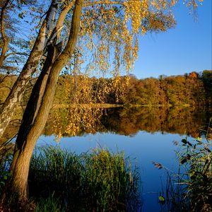 Preview wallpaper lake, trees, autumn, landscape, reflection