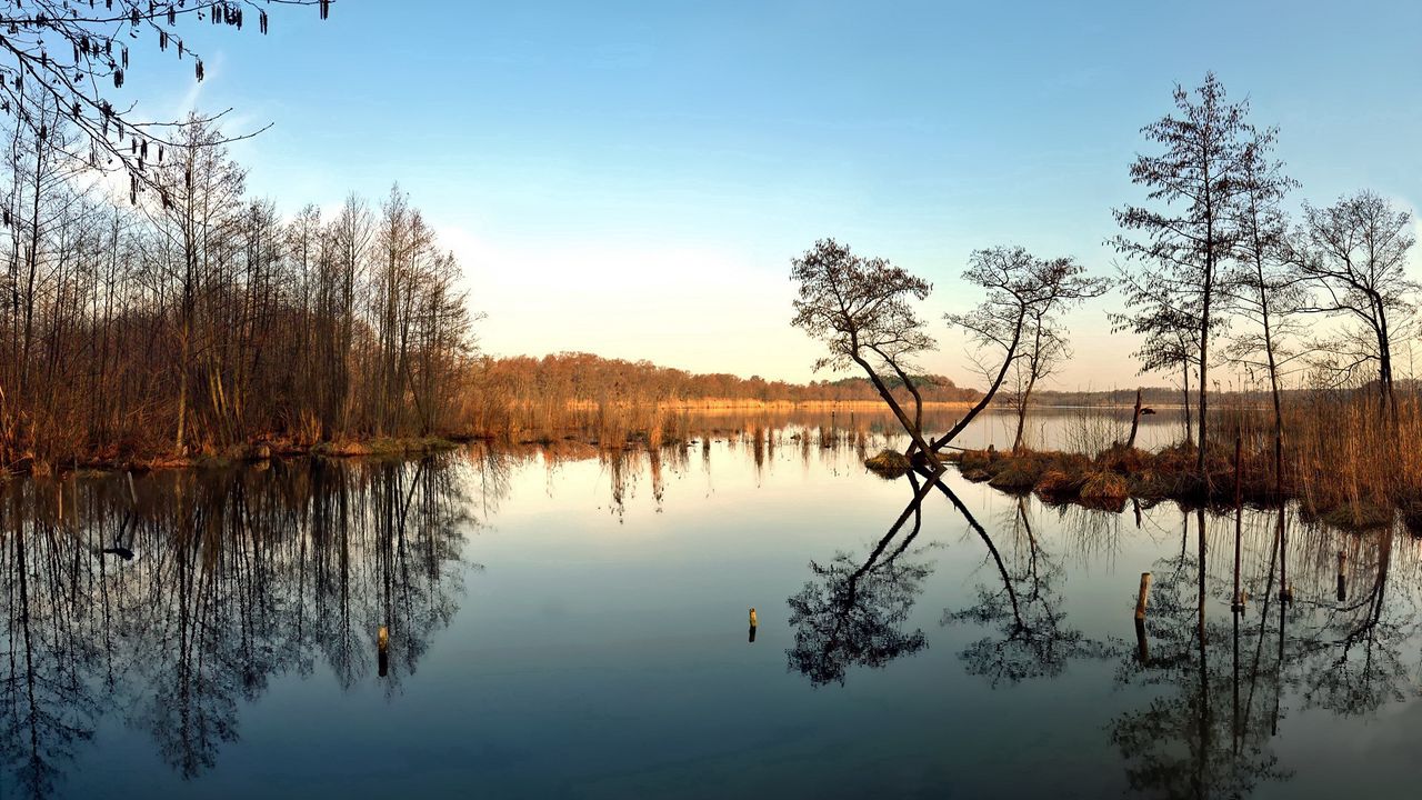 Wallpaper lake, trees, autumn, reflection, sky, blue