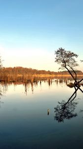 Preview wallpaper lake, trees, autumn, reflection, sky, blue