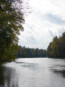 Preview wallpaper lake, trees, branches, water