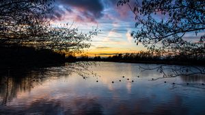 Preview wallpaper lake, trees, branches, sunset, dusk