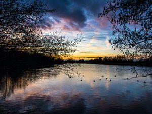 Preview wallpaper lake, trees, branches, sunset, dusk