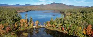 Preview wallpaper lake, trees, bridge, nature