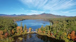 Preview wallpaper lake, trees, bridge, nature