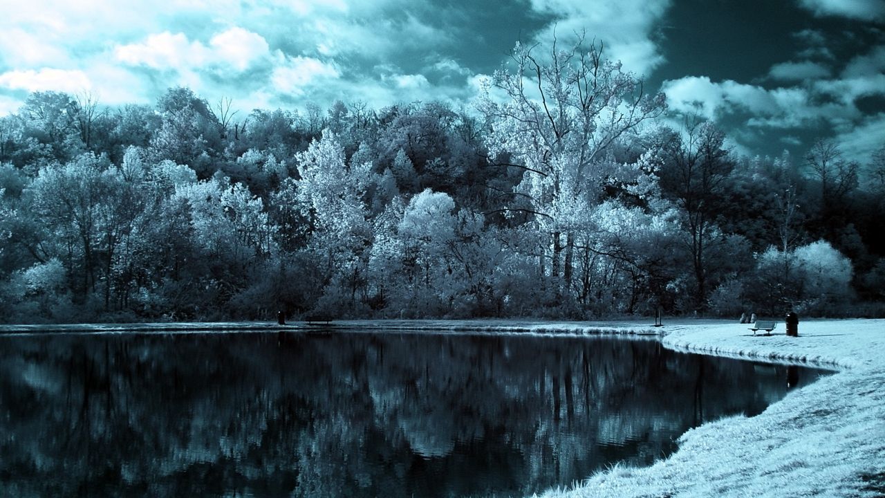 Wallpaper lake, trees, clouds, dark, black-and-white