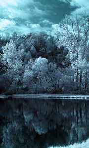 Preview wallpaper lake, trees, clouds, dark, black-and-white