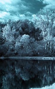 Preview wallpaper lake, trees, clouds, dark, black-and-white