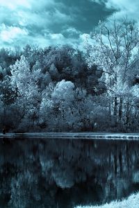 Preview wallpaper lake, trees, clouds, dark, black-and-white