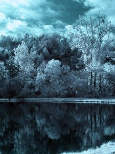 Preview wallpaper lake, trees, clouds, dark, black-and-white