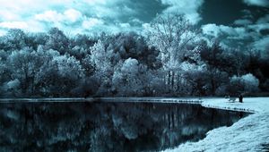 Preview wallpaper lake, trees, clouds, dark, black-and-white