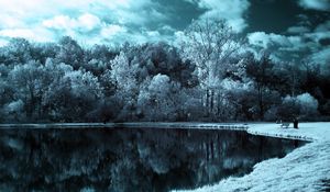 Preview wallpaper lake, trees, clouds, dark, black-and-white