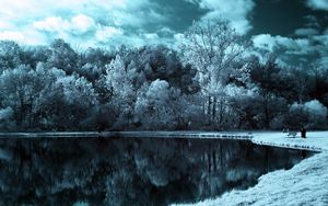 Preview wallpaper lake, trees, clouds, dark, black-and-white