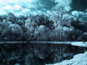 Preview wallpaper lake, trees, clouds, dark, black-and-white