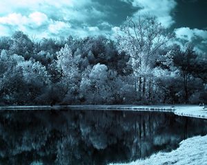 Preview wallpaper lake, trees, clouds, dark, black-and-white