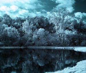 Preview wallpaper lake, trees, clouds, dark, black-and-white