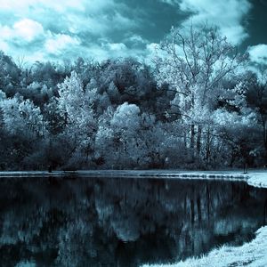 Preview wallpaper lake, trees, clouds, dark, black-and-white