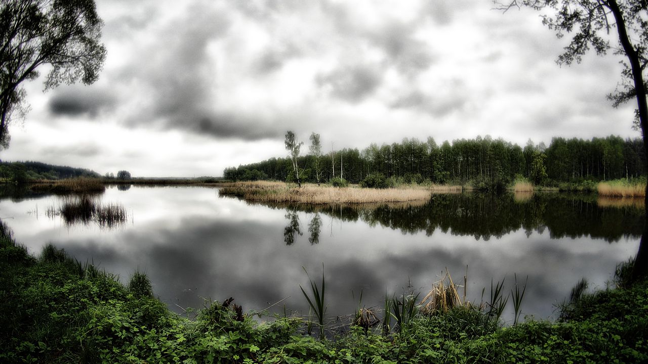 Wallpaper lake, trees, clouds, landscape, hdr
