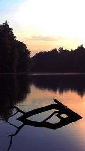 Preview wallpaper lake, trees, dusk, driftwood, forest