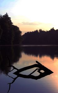 Preview wallpaper lake, trees, dusk, driftwood, forest