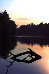 Preview wallpaper lake, trees, dusk, driftwood, forest