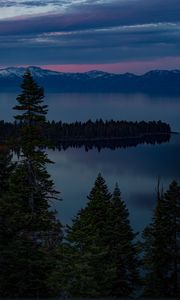 Preview wallpaper lake, trees, evening, south lake tahoe, united states