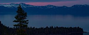 Preview wallpaper lake, trees, evening, south lake tahoe, united states