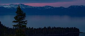 Preview wallpaper lake, trees, evening, south lake tahoe, united states