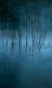 Preview wallpaper lake, trees, fog, water
