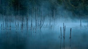 Preview wallpaper lake, trees, fog, water