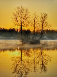 Preview wallpaper lake, trees, fog, dusk, nature