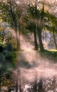 Preview wallpaper lake, trees, fog, sunlight, morning