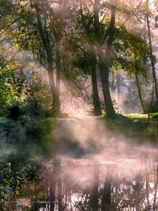 Preview wallpaper lake, trees, fog, sunlight, morning
