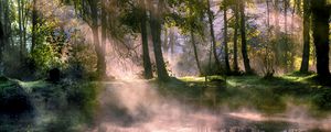 Preview wallpaper lake, trees, fog, sunlight, morning