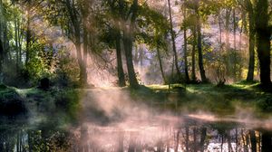 Preview wallpaper lake, trees, fog, sunlight, morning